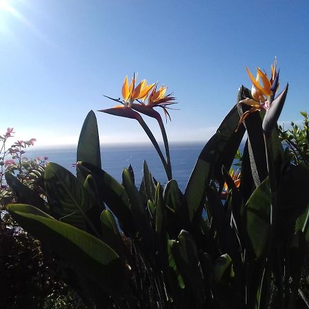 Apartamento Do Sol Arco da Calheta  Buitenkant foto