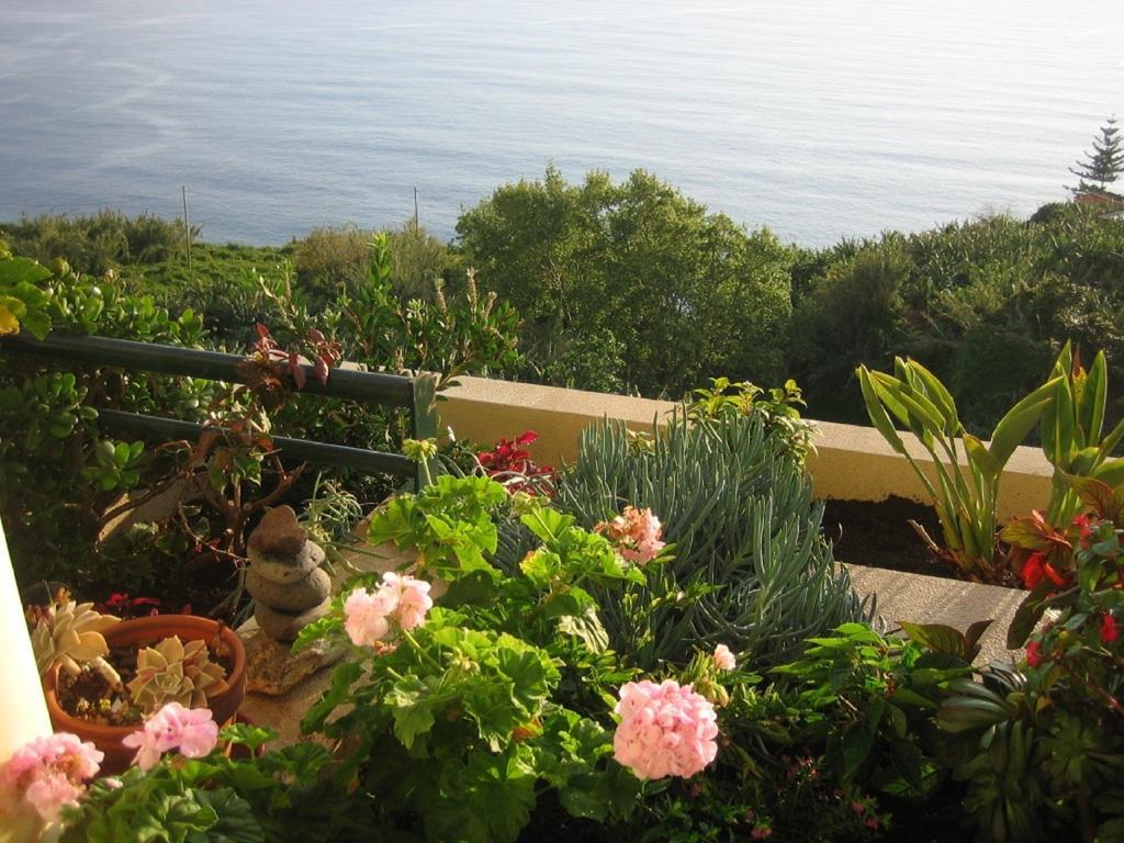 Apartamento Do Sol Arco da Calheta  Buitenkant foto