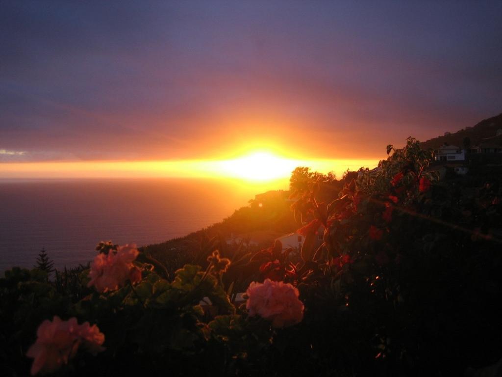 Apartamento Do Sol Arco da Calheta  Buitenkant foto