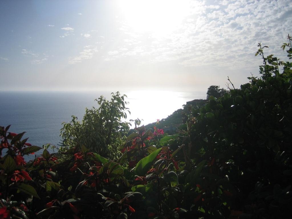 Apartamento Do Sol Arco da Calheta  Buitenkant foto